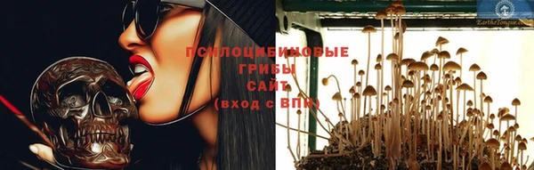 соль ск Аркадак