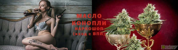 индика Волосово