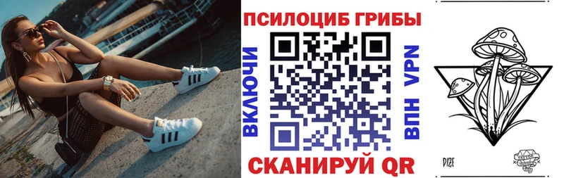 купить наркоту  Дзержинск  Галлюциногенные грибы ЛСД 